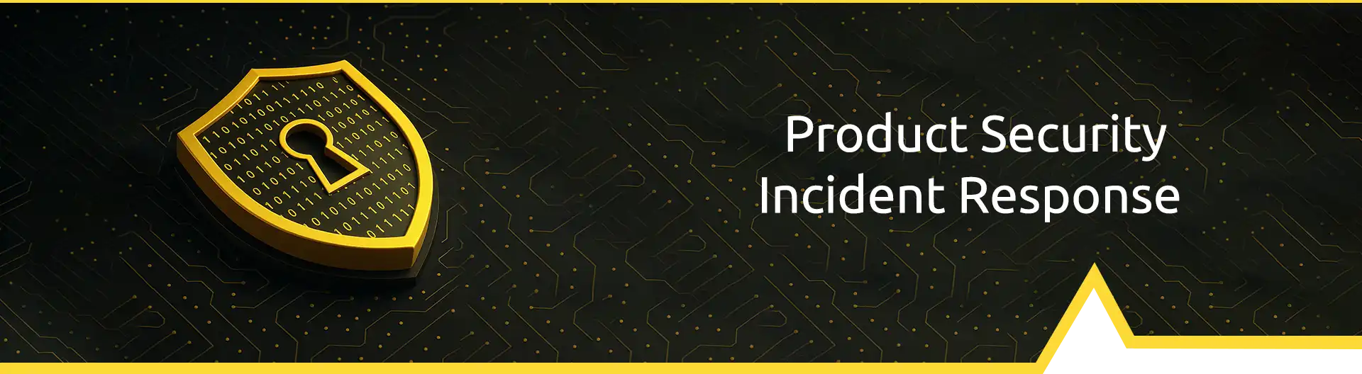 Product security